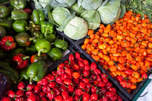 Food and beverage processing